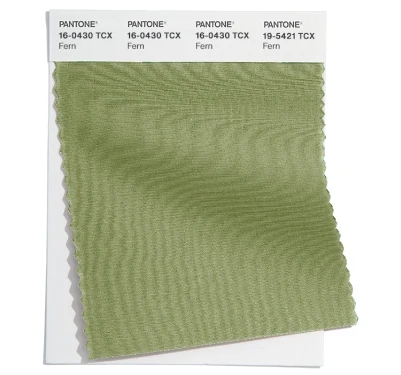 PANTONE 16-0430TCX PANTONE 16-0430TCX